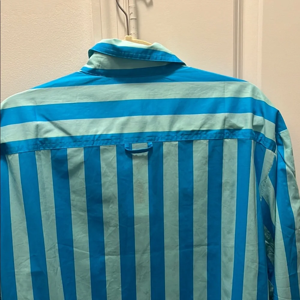 Bold Striped Blue Button-Up Shirt - Picture 5 of 6